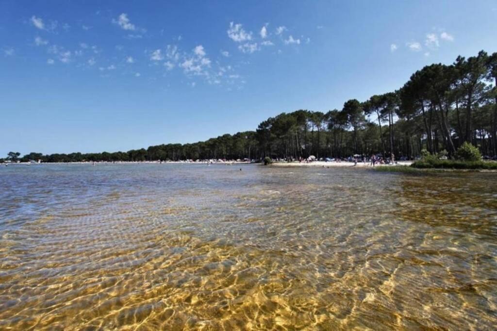 Residence De Vacances Domaine De Gascogne,Grand Appt 6 Personnes 42M2 比斯卡罗斯 外观 照片